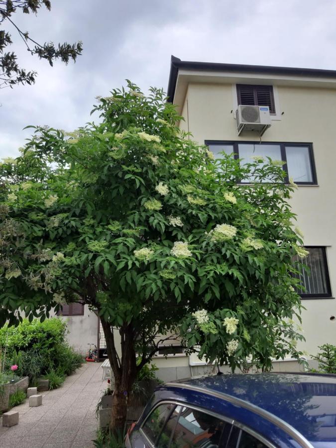 Apartma Lavela Izola Exterior photo